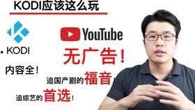 国产TUbe,引领科技潮流的创新力量